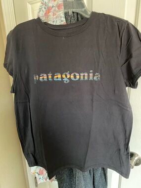 Patagonia Black Tee with Multicolor Striped Logo